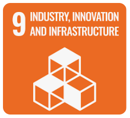 Module 9: The Problem of Weak Industry  Innovation and Infrastructure